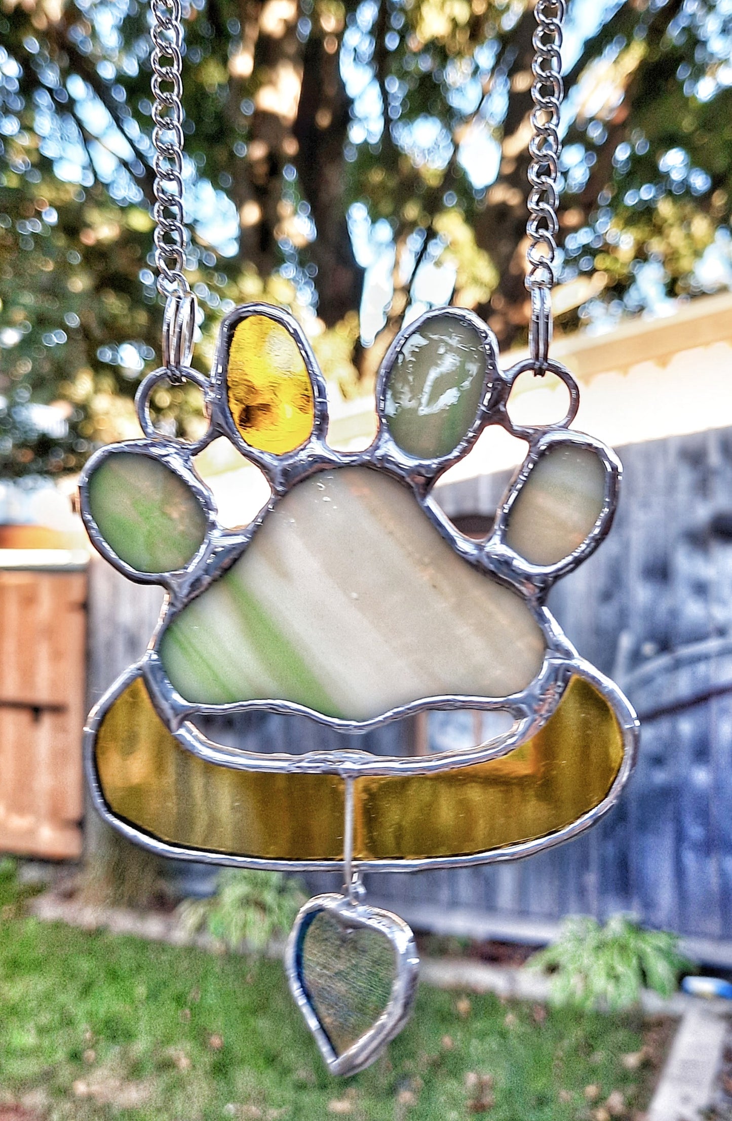 Cat Paw Print And Collar