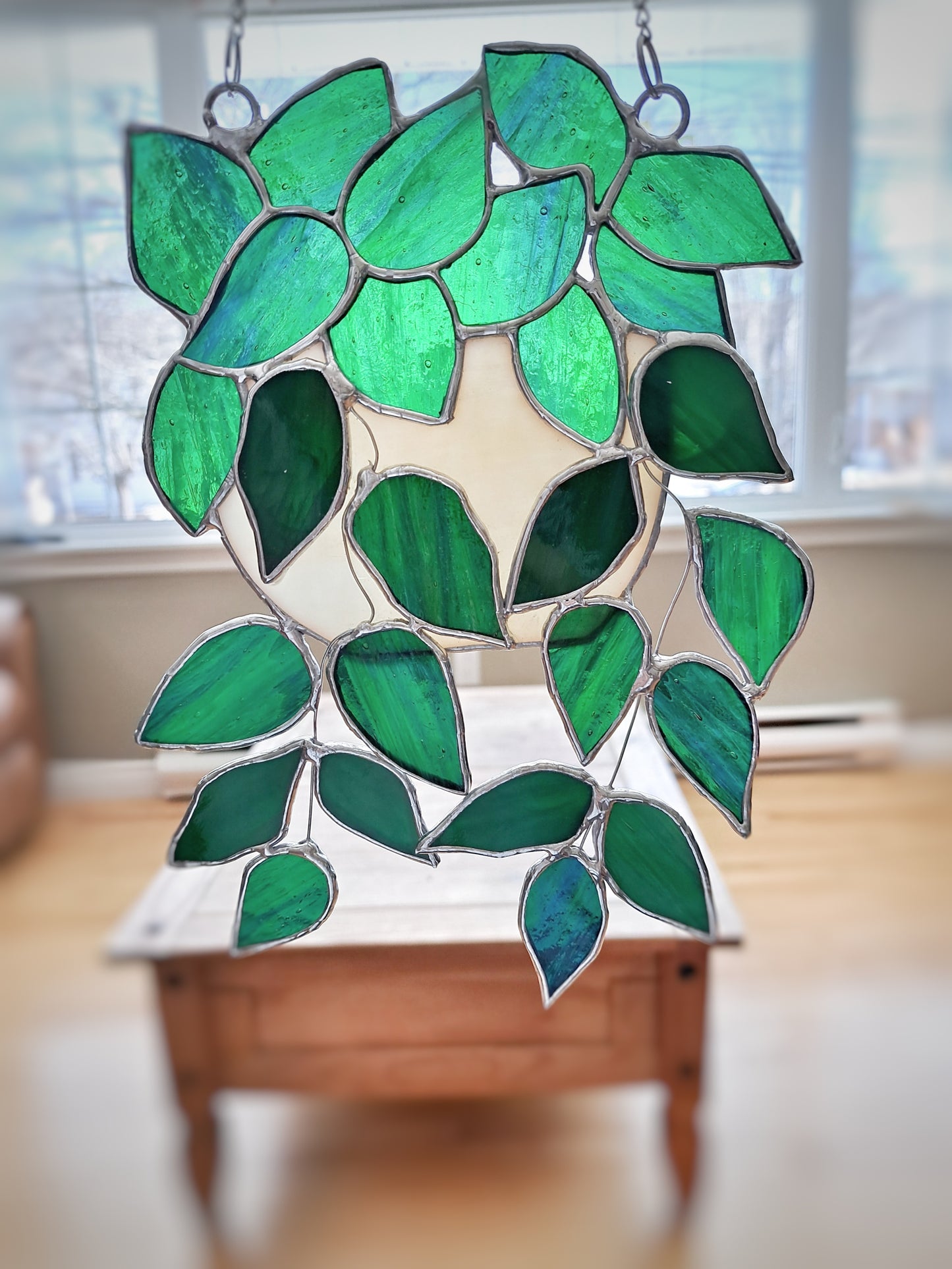 Stained Glass Pothos plant
